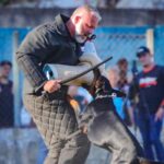 Proteção: Fortaleza sedia seminário sobre cães de guarda com maior especialista em adestramento do Brasil