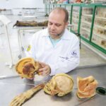 Pesquisa: UFC inova no ensino de anatomia com nova técnica de plastinação registrada no INPI