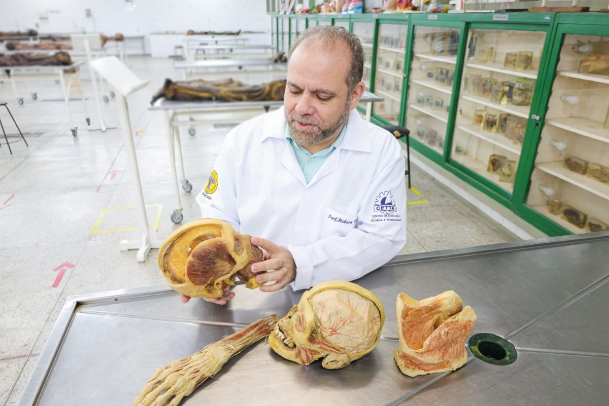 Pesquisa: UFC inova no ensino de anatomia com nova técnica de plastinação registrada no INPI