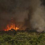 Política: Câmara aprova aumento de pena para crimes de incêndio em florestas e áreas de vegetação