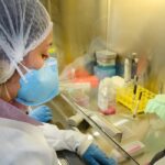 Saúde: USP avança em testes de vacina contra zika com resultados promissores em camundongos