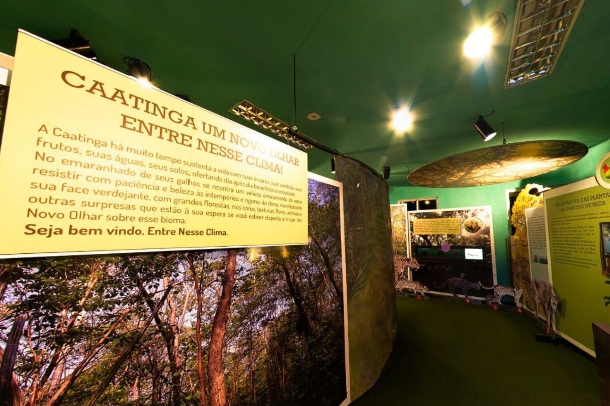 Cultura: Exposição gratuita sobre a Caatinga encanta visitantes na Seara da Ciência da UFC