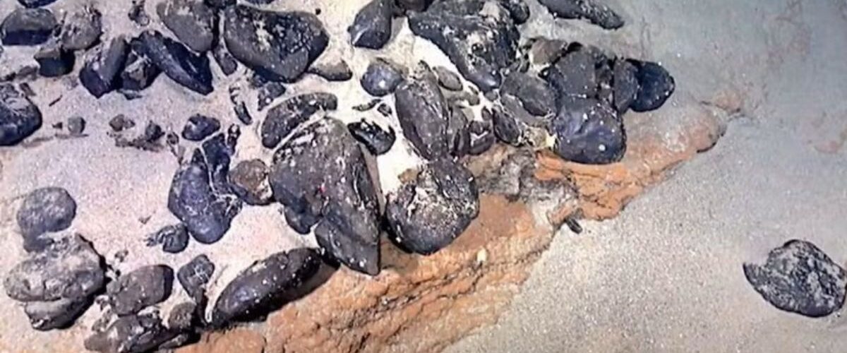 Território: Brasil reivindica Elevação do Rio Grande, “ilha submersa” rica em minerais estratégicos