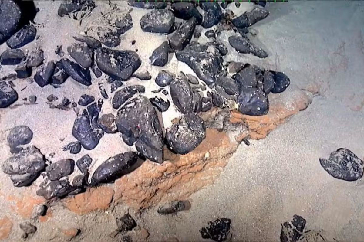 Território: Brasil reivindica Elevação do Rio Grande, “ilha submersa” rica em minerais estratégicos