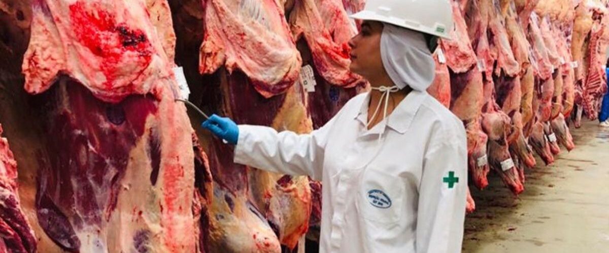 Alerta: Auditores fiscais alertam para riscos da privatização das inspeções em defesa da pecuária brasileira