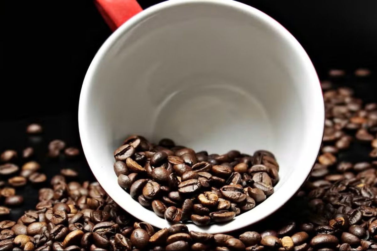 Economia: Preço do café registra primeira queda em 18 meses, aponta prévia da inflação