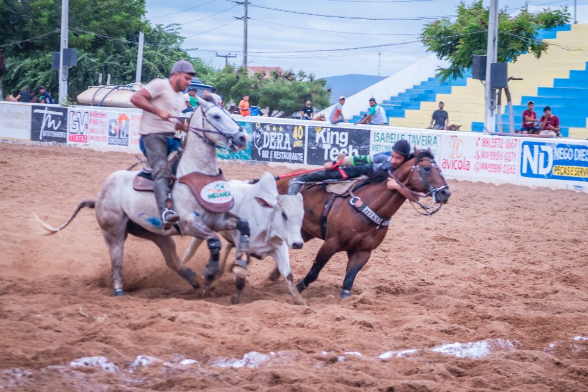 Cultura: Vaquejada de Juazeiro do Norte celebra cultura sertaneja e reforça tradição como patrimônio cultural