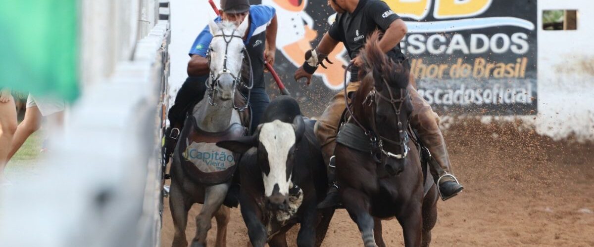 Tradição: Vaquejada de Juazeiro do Norte começa dia 9 de julho com atrações musicais e R$ 150 mil em prêmios