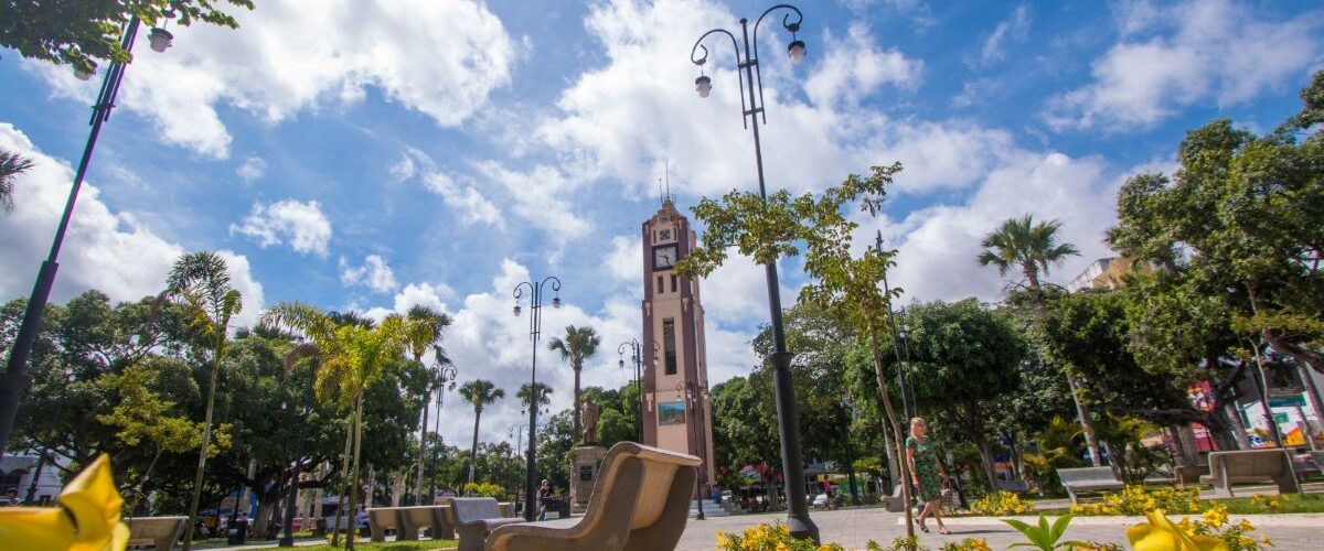 Meio Ambiente: Juazeiro do Norte inicia projeto de arborização e paisagismo em praças e espaços públicos