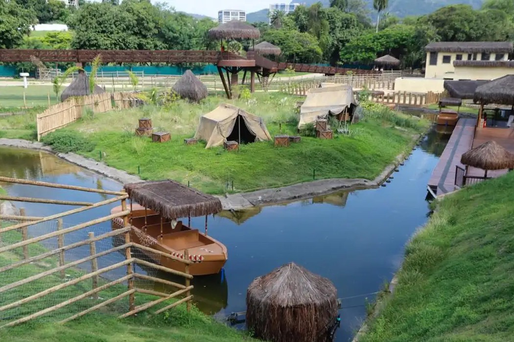 Saúde: BioParque do Rio é fechado temporariamente após morte de galinhas-d’angola