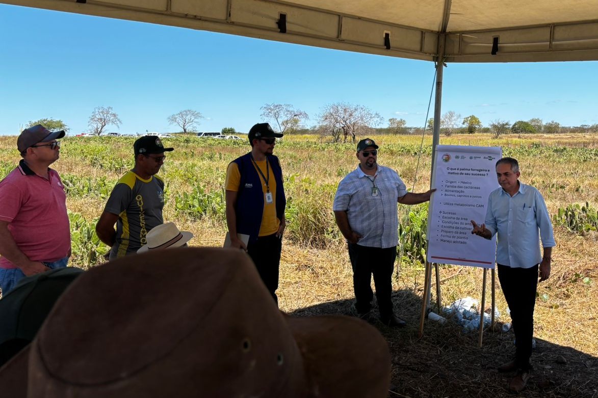 Agro: Sistema Faec/Senar realiza Dia de Campo em Ibaretama com foco em forrageiras para o semiárido