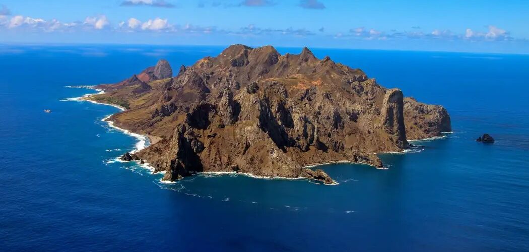 Meio Ambiente: Ilha de Trindade registra recuperação recorde da vegetação e vira modelo ambiental