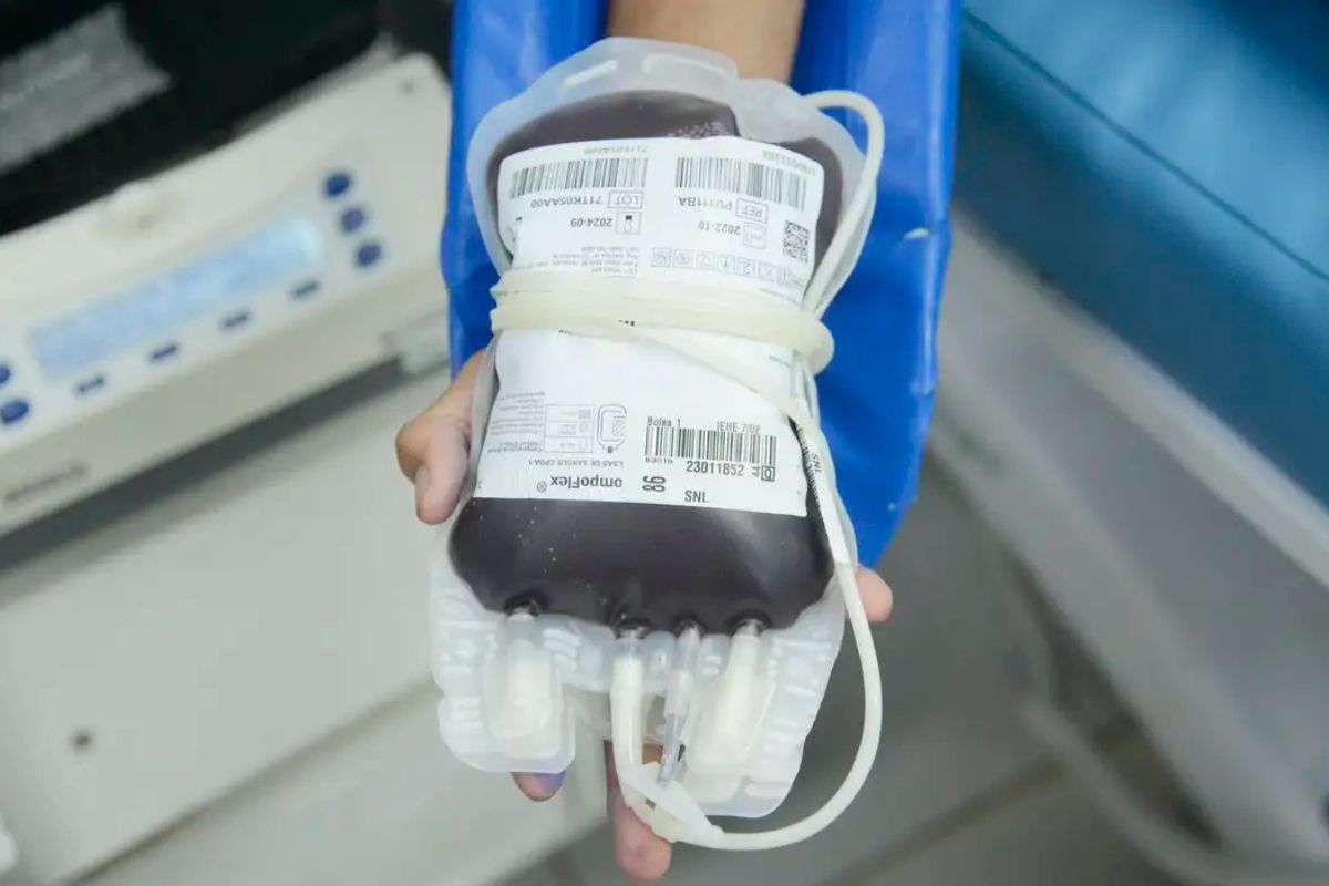 Justiça: STF reafirma direito de recusar transfusão de sangue por motivos religiosos