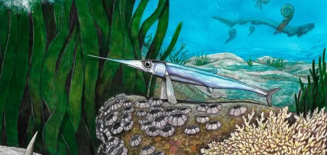 Paleontologia: Cientistas brasileiros descobrem nova espécie de peixe pré-histórico na Antártica