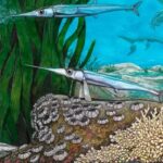 Paleontologia: Cientistas brasileiros descobrem nova espécie de peixe pré-histórico na Antártica