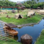 Saúde: Zoológico do Rio reabre após mortes de aves por gripe aviária e anuncia programação especial