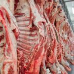 Economia: Exportação de carne bovina do Brasil bate recorde antes do tarifaço dos EUA