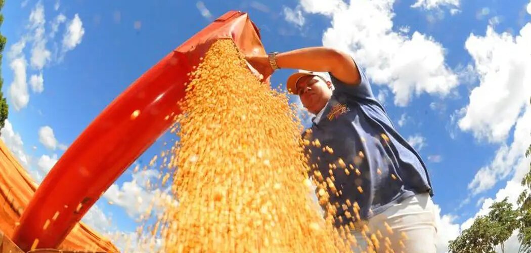 Agronegócio: Superávit da balança comercial tem pior resultado para julho em três anos