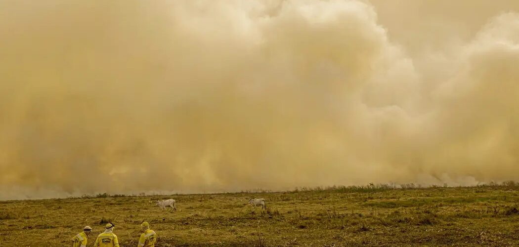 Meio Ambiente: Agosto registra queda histórica nas queimadas no Brasil, aponta INPE