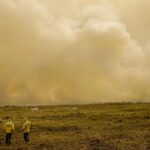 Meio Ambiente: Agosto registra queda histórica nas queimadas no Brasil, aponta INPE