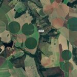 Meio Ambiente: Suspensão da Moratória da Soja pelo Cade acende alerta e ameaça preservação da Amazônia