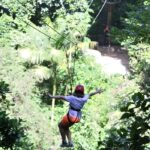 Meio Ambiente: Gestores aprovam concessão de parques naturais e urbanos no Brasil