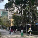 Quando a Cidade Corta o Verde: Uma manhã de poda revela o conflito entre técnica e natureza no coração da cidade