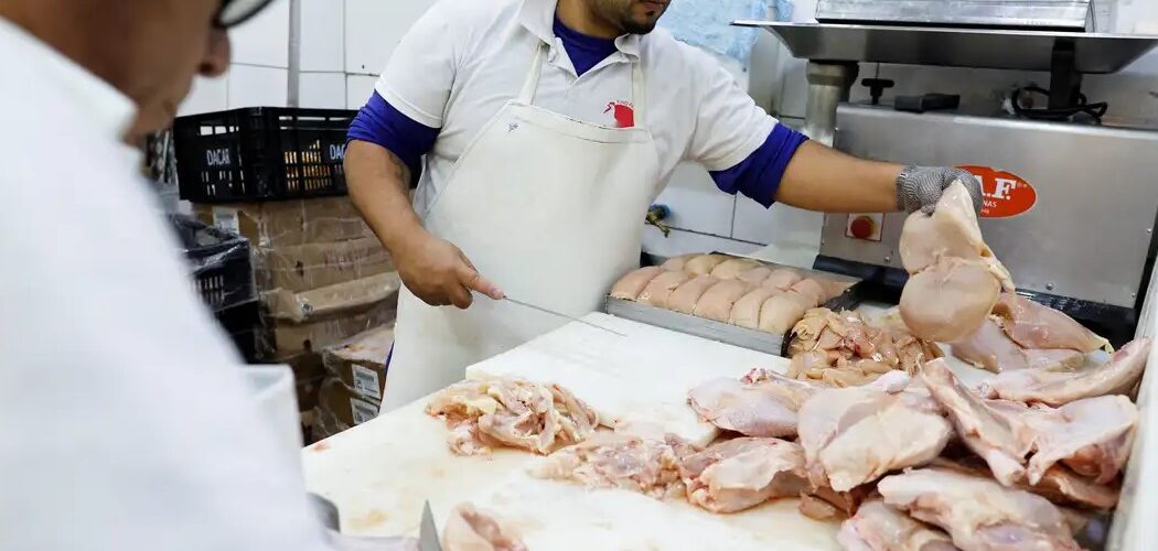 Economia: União Europeia reconhece Brasil como livre de gripe aviária e libera exportações de frango