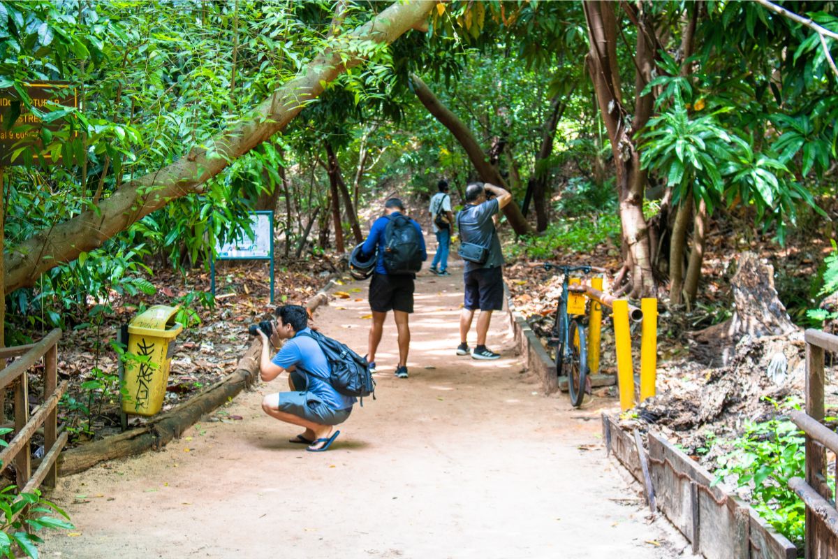Cultura: Curso de Fotografia do Museu da Fotografia Fortaleza chega a Guaramiranga com oficinas e concurso
