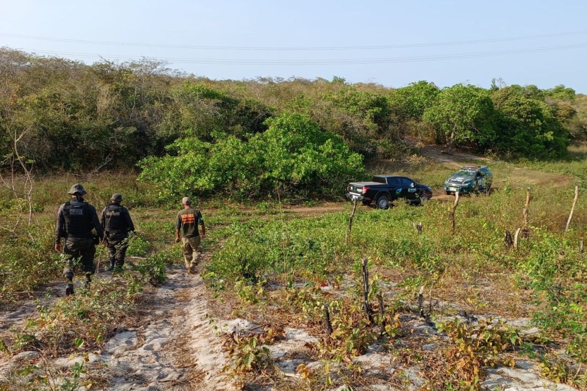 Fiscalização: Operação Mata Atlântica em Pé 2025 aplica R$ 13 milhões em multas por desmatamento ilegal no Ceará
