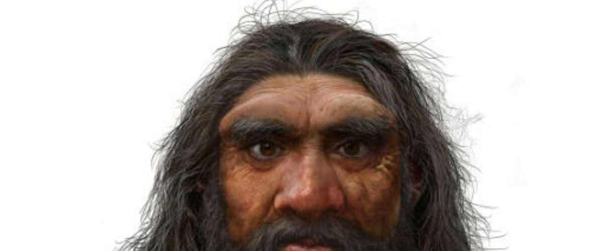 Evolução: Reconstrução de crânio sugere separação dos humanos 400 mil anos antes do previsto