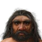 Evolução: Reconstrução de crânio sugere separação dos humanos 400 mil anos antes do previsto