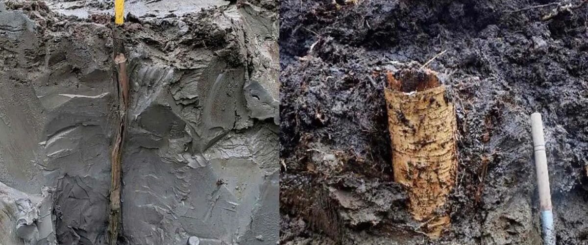 Arqueologia: ‘Cápsula do tempo’ pré-histórica de 5 mil anos é descoberta em pântano na Suécia