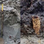 Arqueologia: ‘Cápsula do tempo’ pré-histórica de 5 mil anos é descoberta em pântano na Suécia