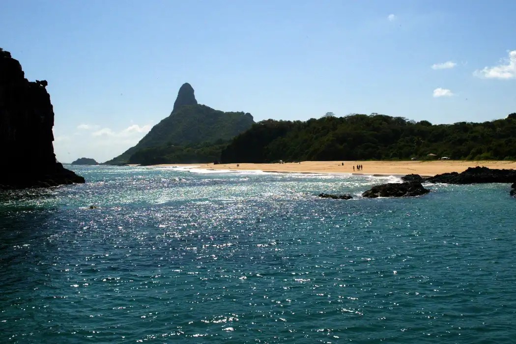 Estudo revela: ilhas brasileiras abrigam espécies exclusivas e reforçam importância mundial da biodiversidade