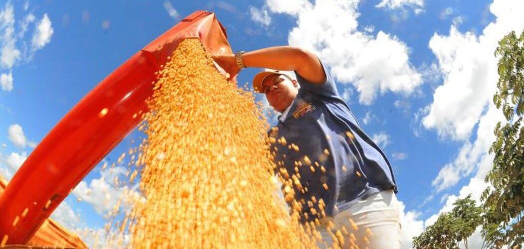 Agro: Brasil deve colher safra recorde de grãos em 2025/26, projeta Conab
