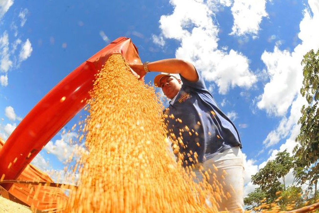Agro: Brasil deve colher safra recorde de grãos em 2025/26, projeta Conab