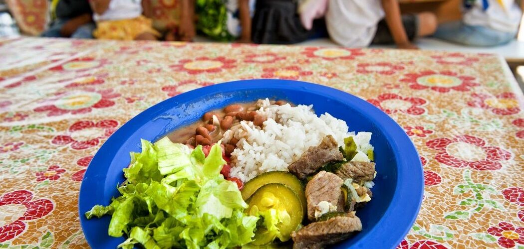 Política: Câmara aprova projeto que amplia qualidade da merenda escolar e fortalece agricultura familiar