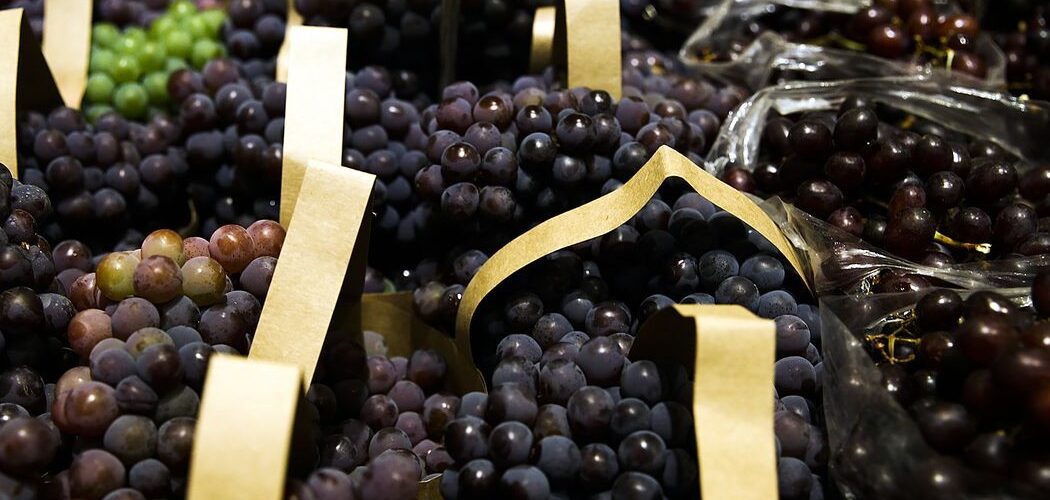 Economia: BNDES aprova R$ 1,2 bilhão em crédito emergencial para empresas afetadas pelo tarifaço nos EUA