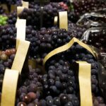 Economia: BNDES aprova R$ 1,2 bilhão em crédito emergencial para empresas afetadas pelo tarifaço nos EUA