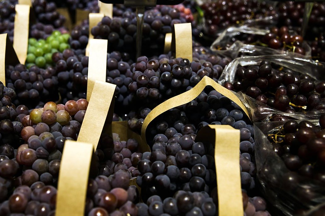 Economia: BNDES aprova R$ 1,2 bilhão em crédito emergencial para empresas afetadas pelo tarifaço nos EUA