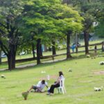 mercado movimenta R$ 13 bilhões por ano, impulsionado pelo crescimento de planos antecipados, diversificação de serviços e inovação tecnológica