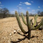 Opinião: Aridização - de Semiárido a Árido