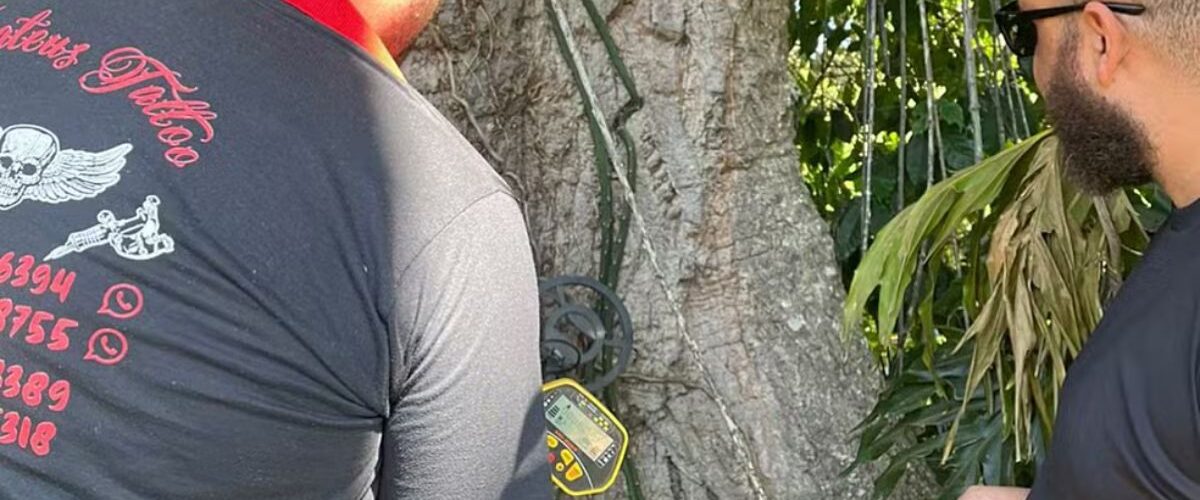 História: Detector de metais identifica corrente da escravidão em árvore centenária no Sul de Minas