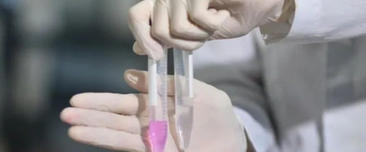 Pesquisa: Canudo que identifica metanol em bebidas adulteradas deve custar R$ 2 e promete revolucionar a segurança alimentar