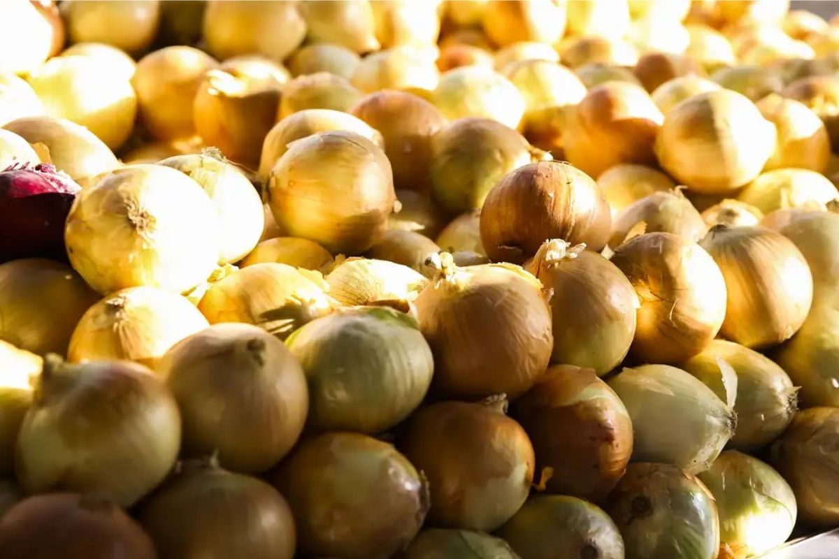 Economia: Inflação dos alimentos atinge menor patamar desde setembro de 2024, aponta IBGE