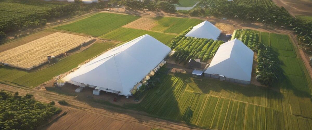 Agronegócio: Elmano de Freitas anuncia estudos para implantação de 10 mil hectares de perímetros irrigados no Cariri