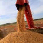 Meio Ambiente: Guerra comercial entre Trump e China amplia lucros do Brasil com soja, mas ameaça o Cerrado