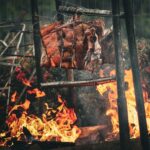 Gastronomia: Viva La Carne Fortaleza 2025 promete experiência única com churrasco, turismo e cultura no Ceará