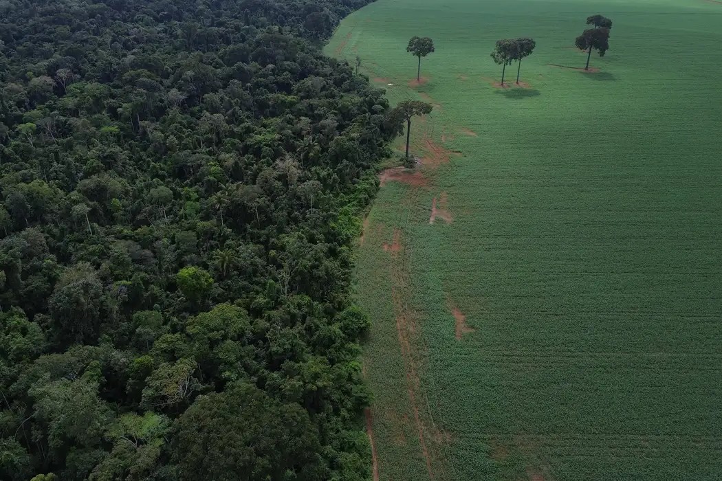 Meio Ambiente: Caravana social parte rumo à COP30 para denunciar megaprojetos do agronegócio na Amazônia